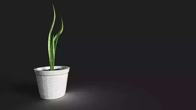 sneck plant 3D model with texture