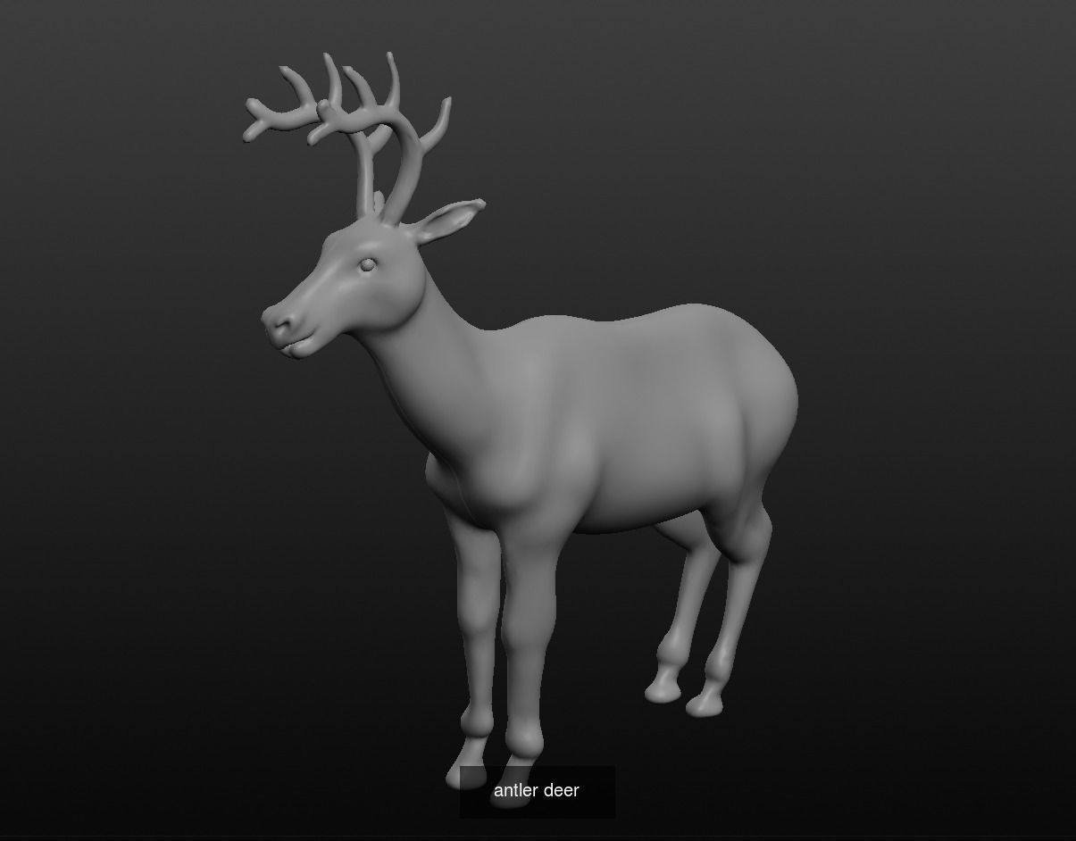 Animal Collection frog _8