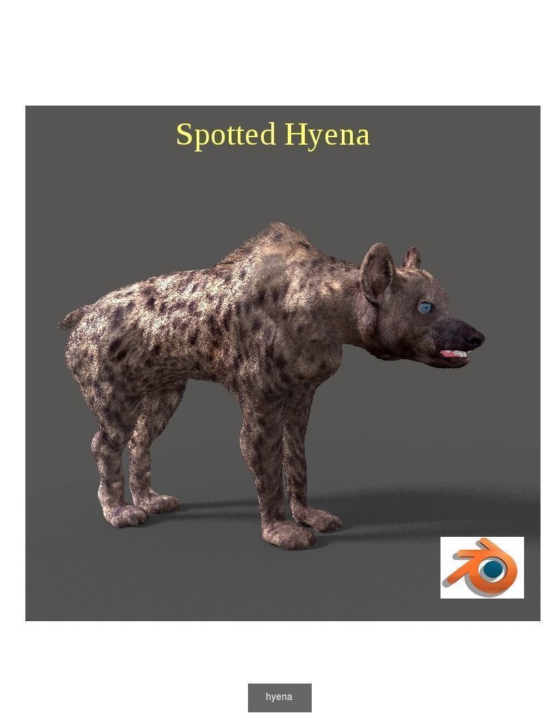 Animal Collection frog _11