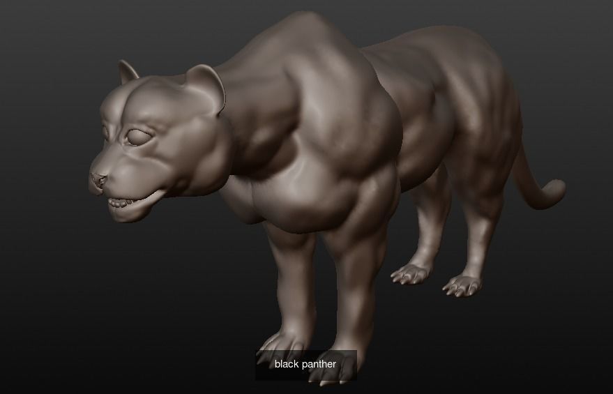 Animal Collection frog _10