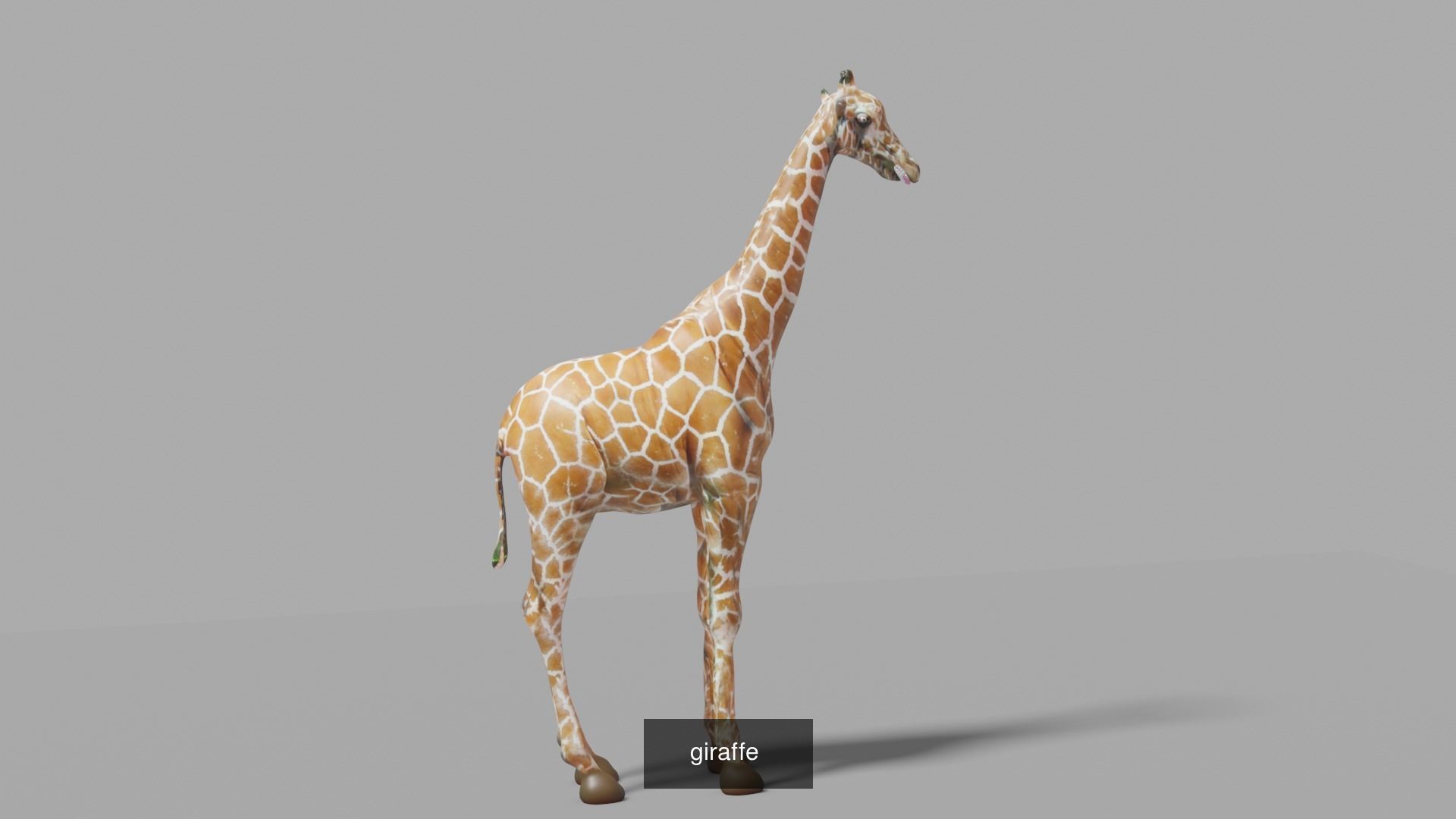 Animal Collection frog _28