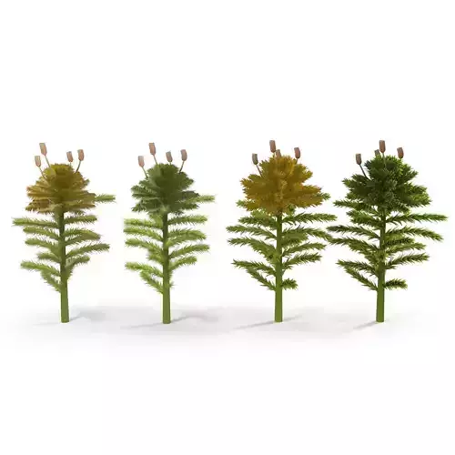 Sphagnum fallax Low-poly 3D model