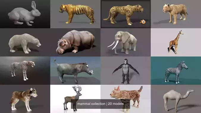 mammal collection giraffe