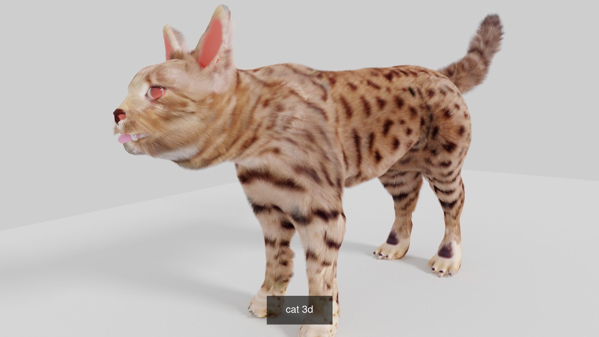 mammal collection giraffe _19