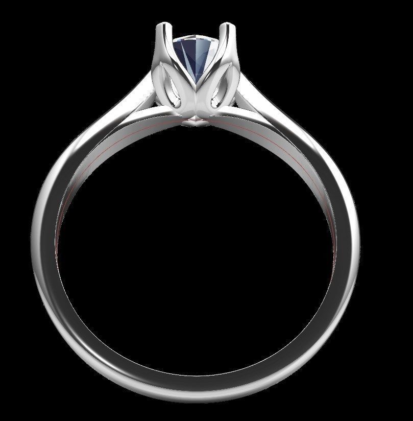 Ring iz40 3D print model_14