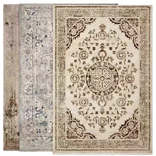 Carpet rug with ornate design