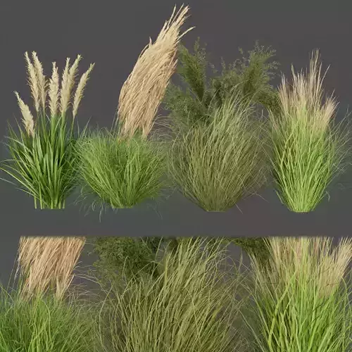 Collection plant vol 287 - outdoor -grass 3D model
