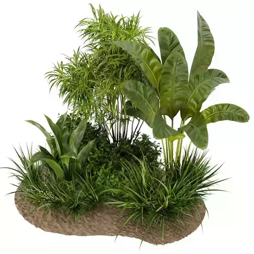 Collection plant vol 288 - indoor - leaf - banana