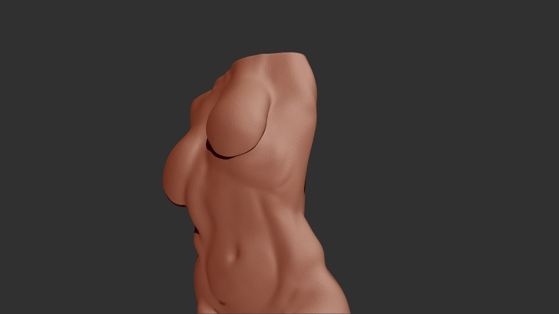 female torso 3d print 3D print model_4