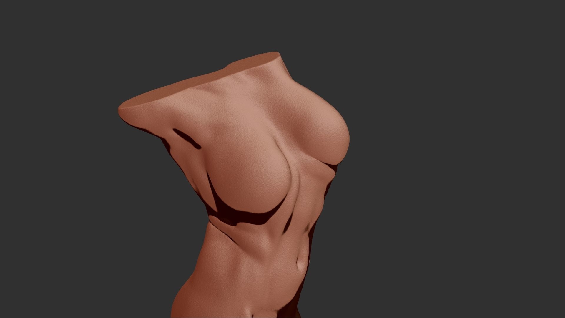 female torso 3d print 3D print model_5