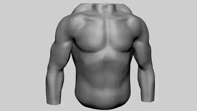 Male Torso v12