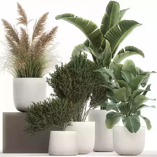 Plants in a white flowerpot for the interior 1095