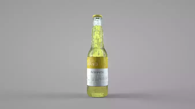 Beer Bottle Cold