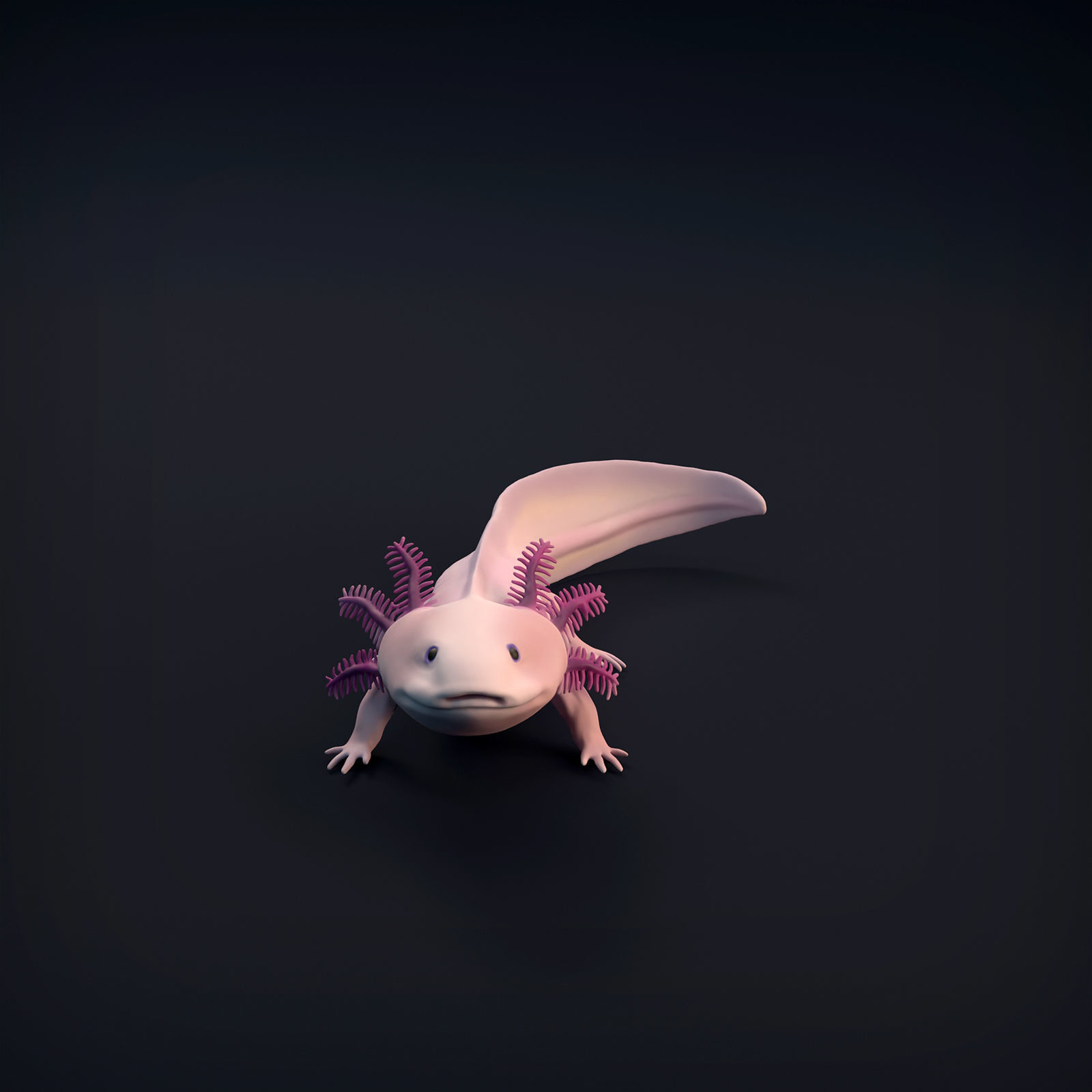 Axolotl for 3D Printing 3D print model_1