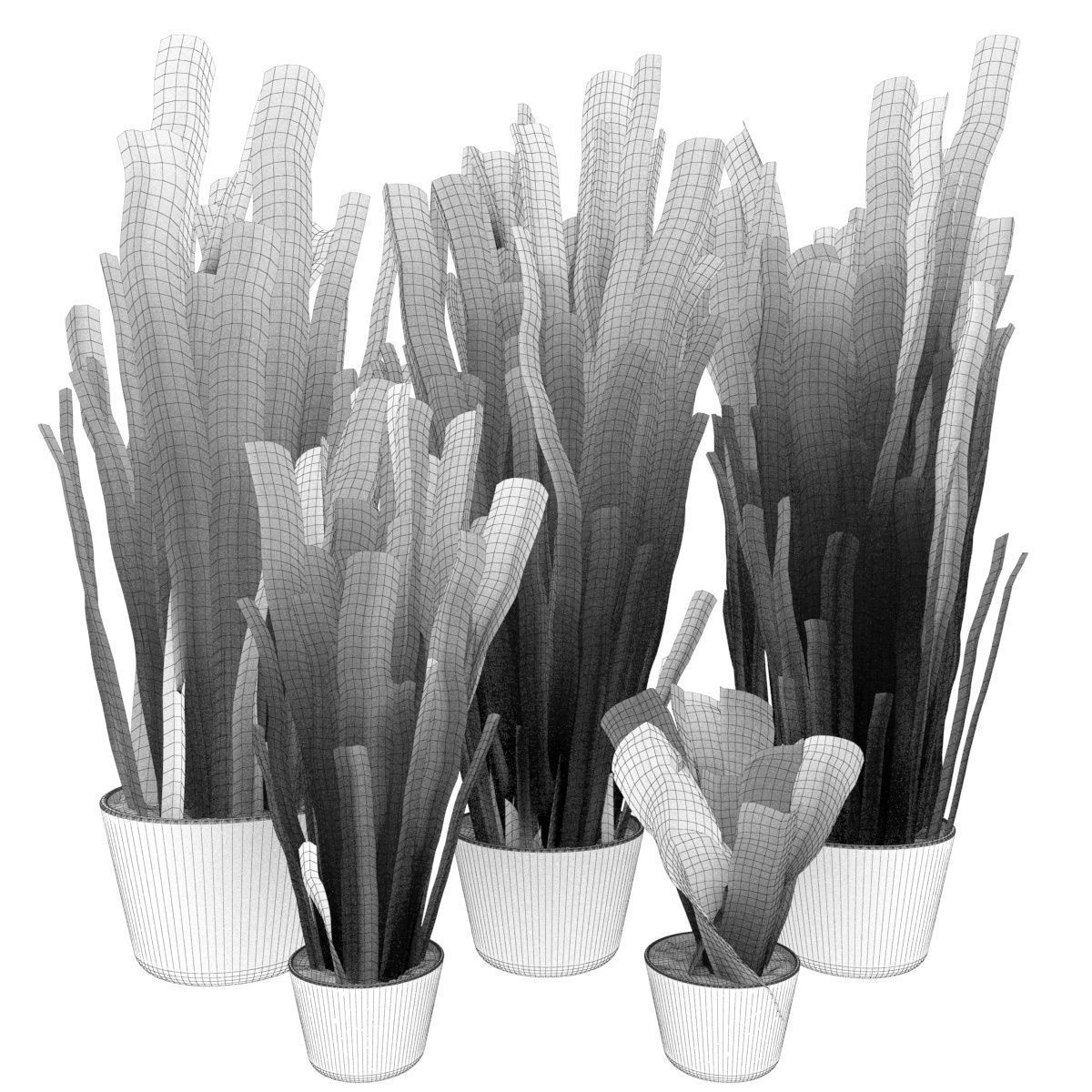 Collection plant vol 292 - indoor- sansveria- leaf 3D model_6