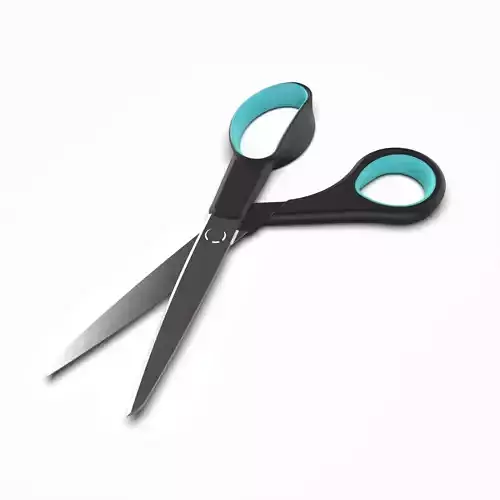 Scissors pair of