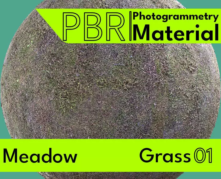 Meadow-Grass 01 Texture