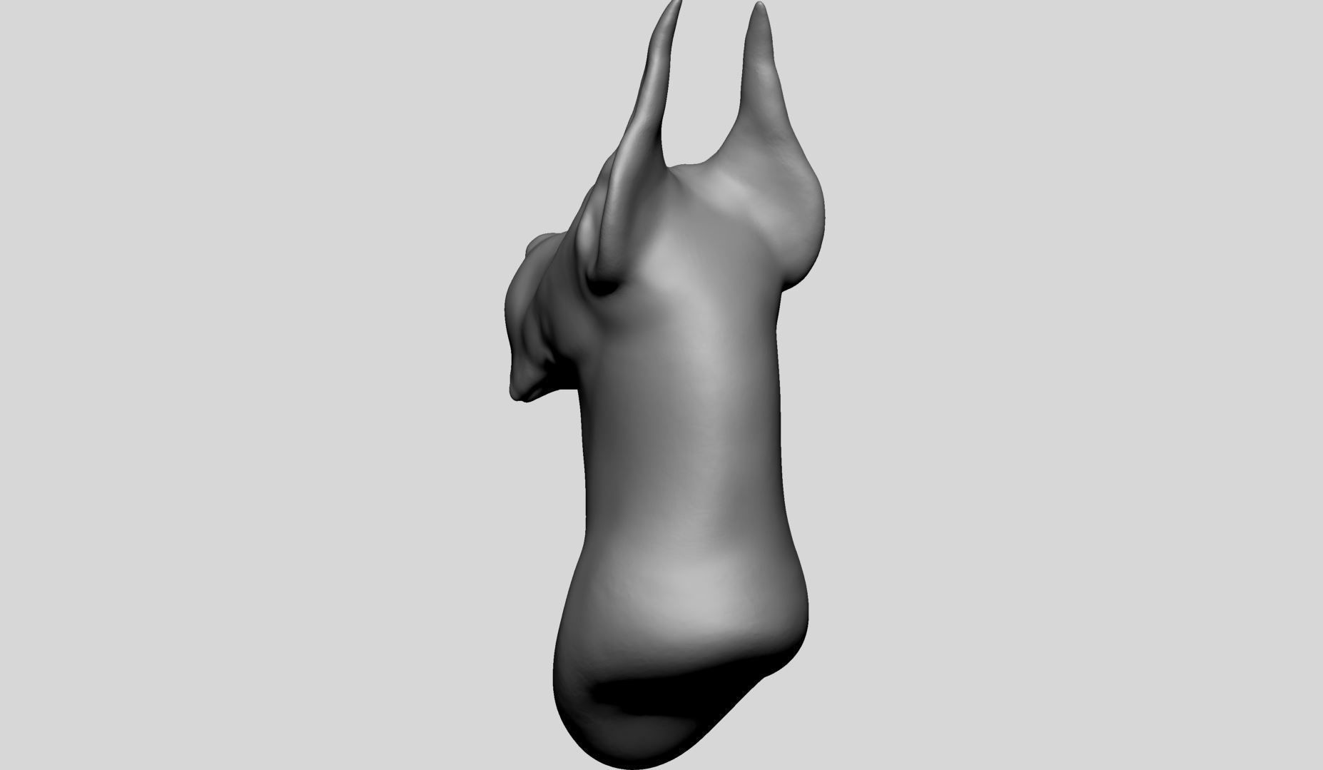 Dog Bust v2 3D model_4