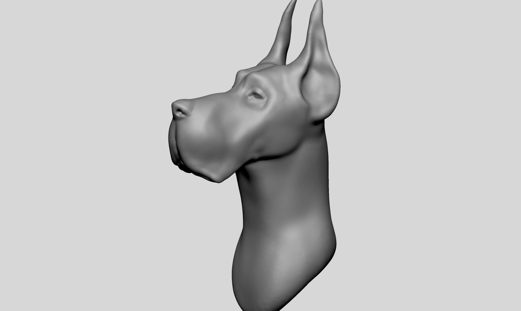 Dog Bust v2 3D model_6