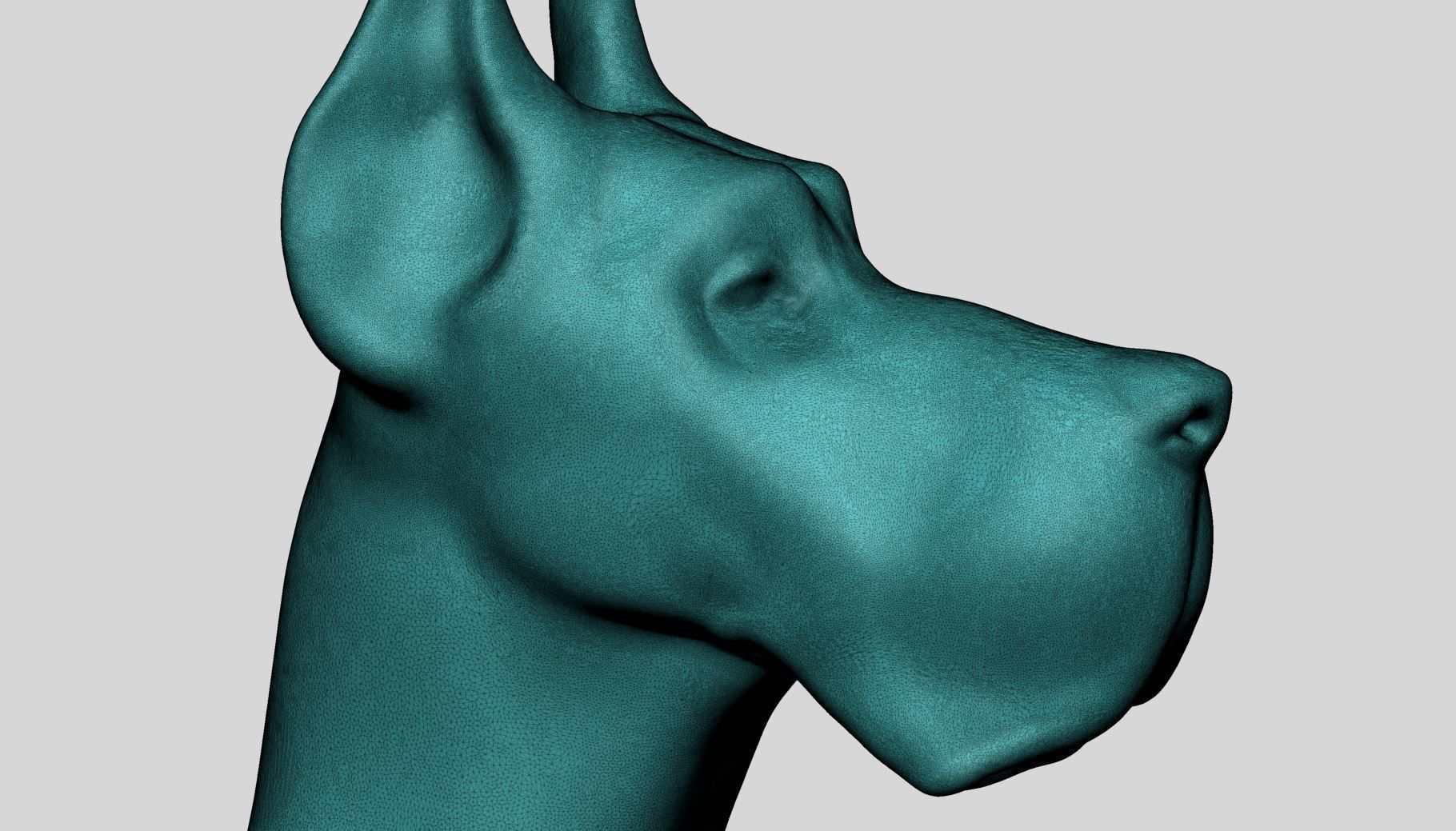 Dog Bust v2 3D model_9