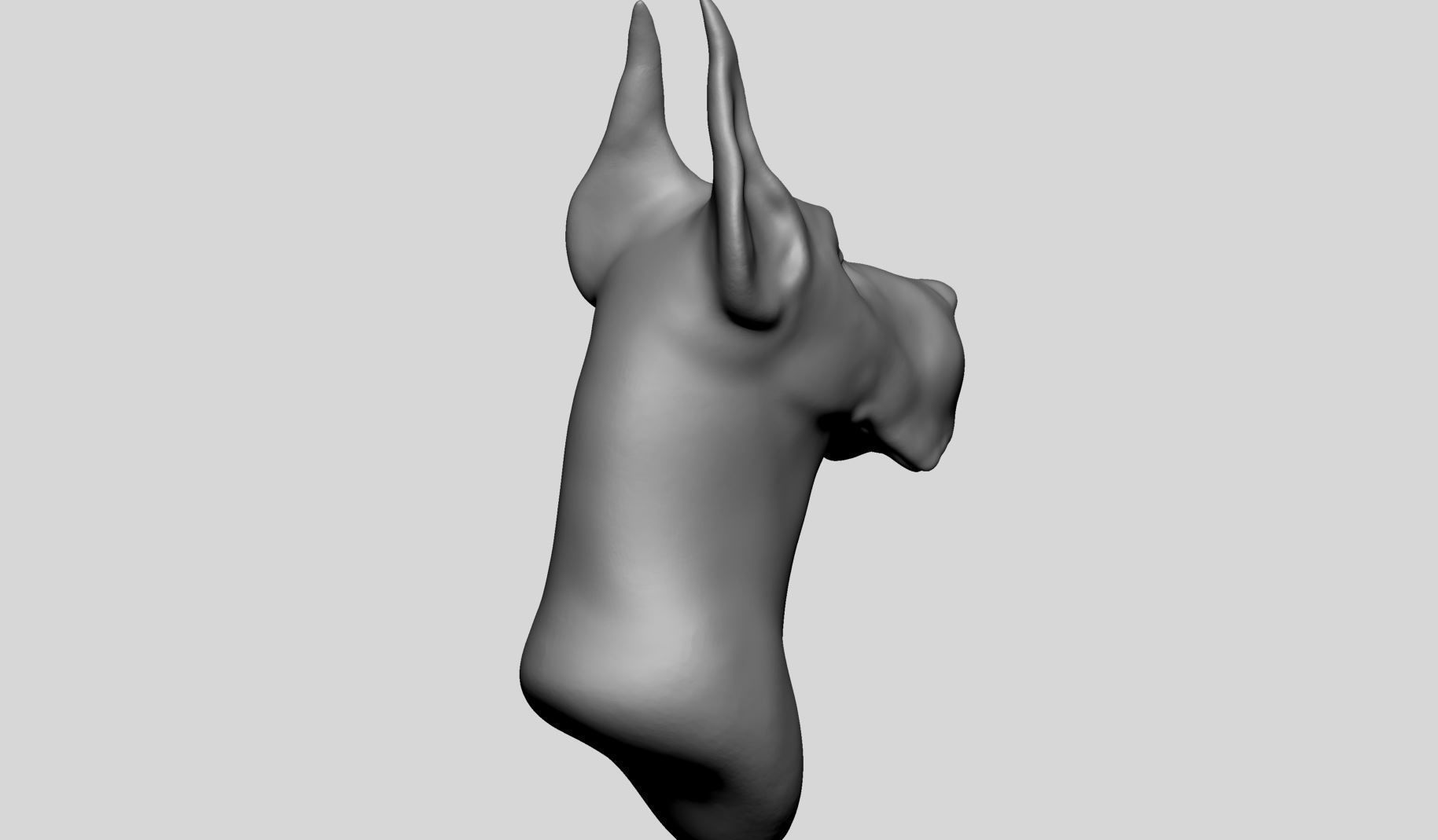 Dog Bust v2 3D model_3