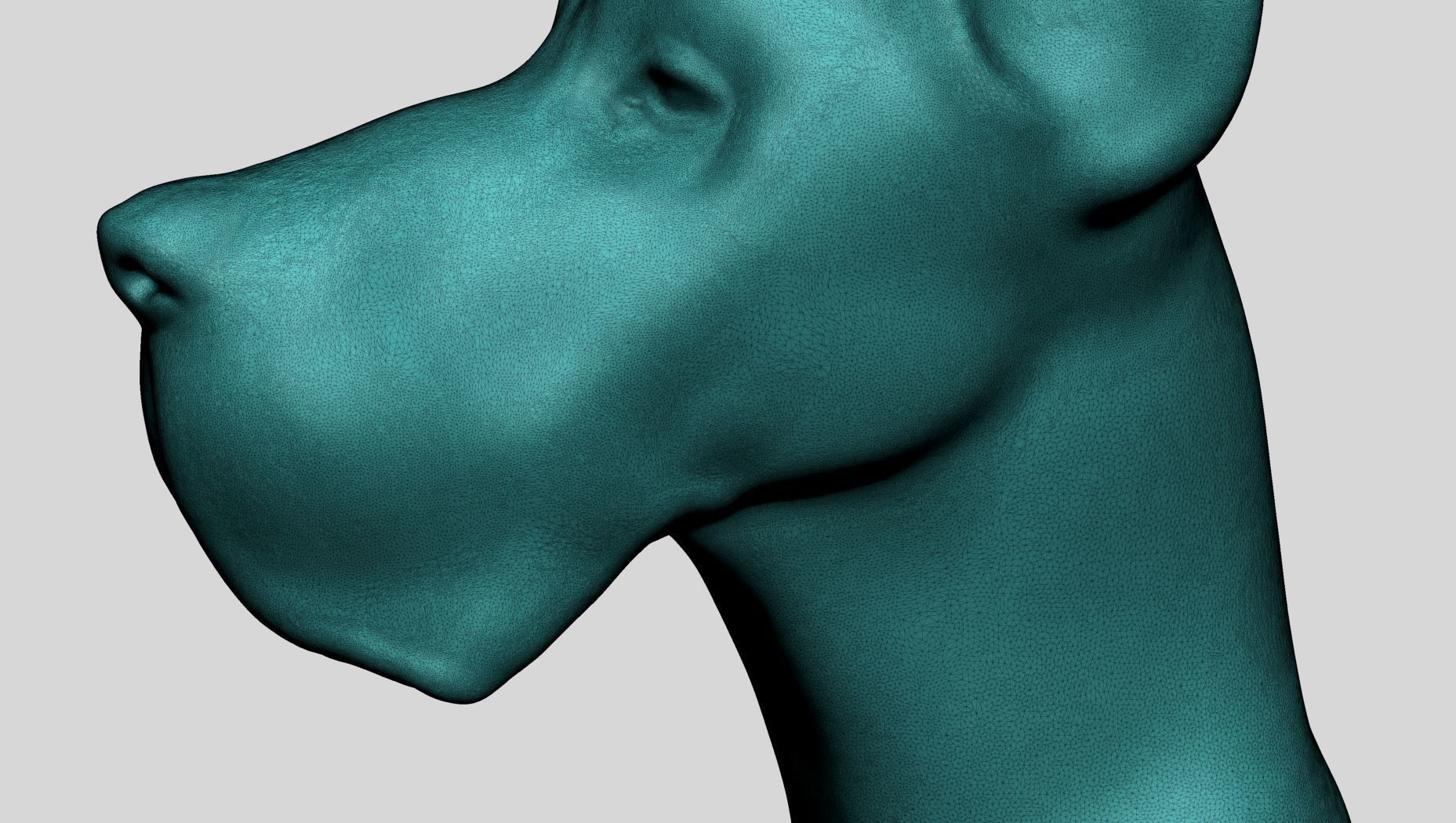 Dog Bust v2 3D model_10