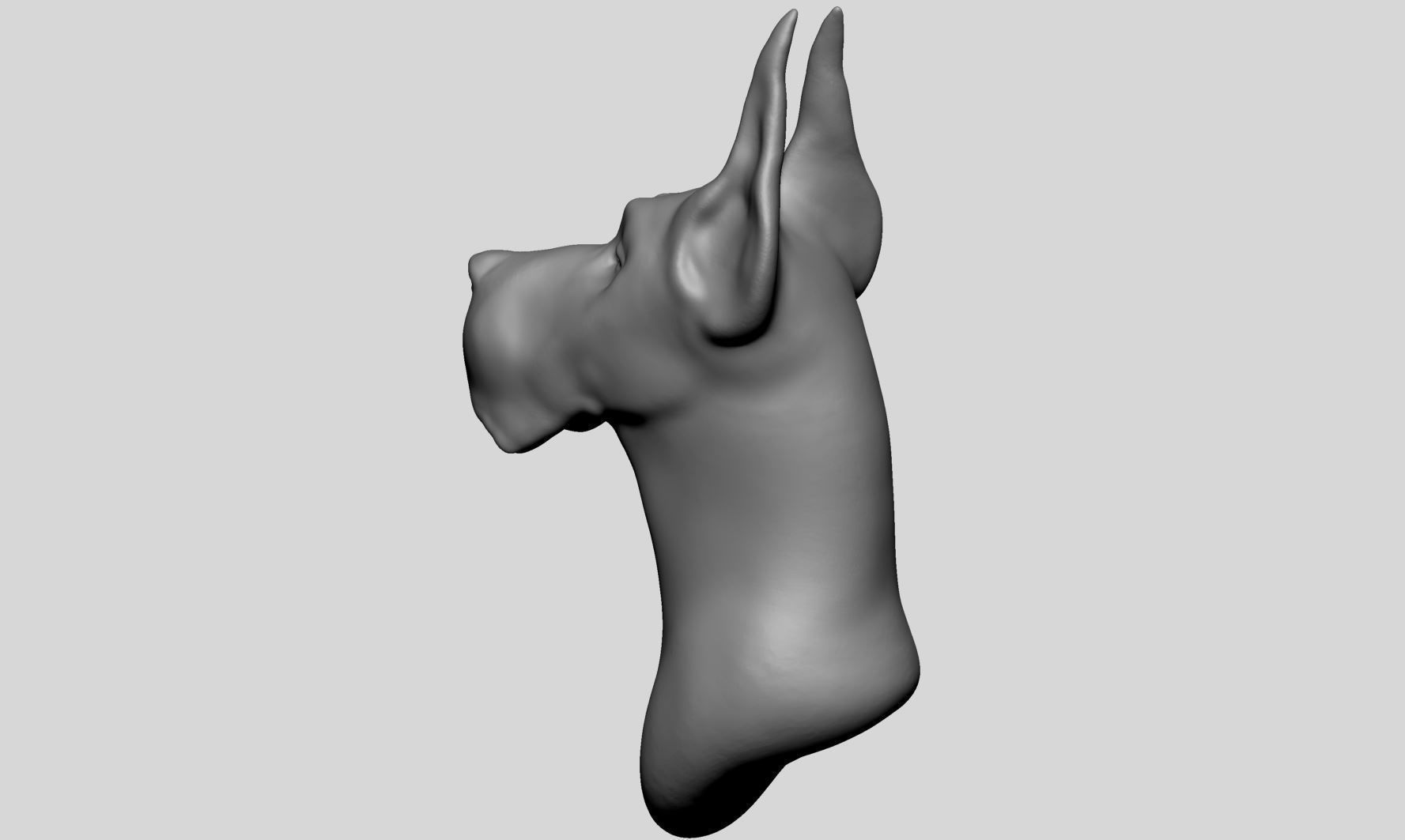 Dog Bust v2 3D model_5