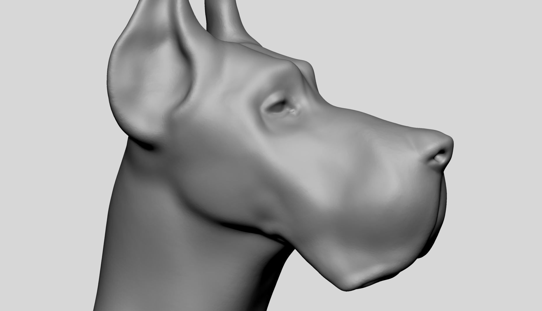 Dog Bust v2 3D model_8