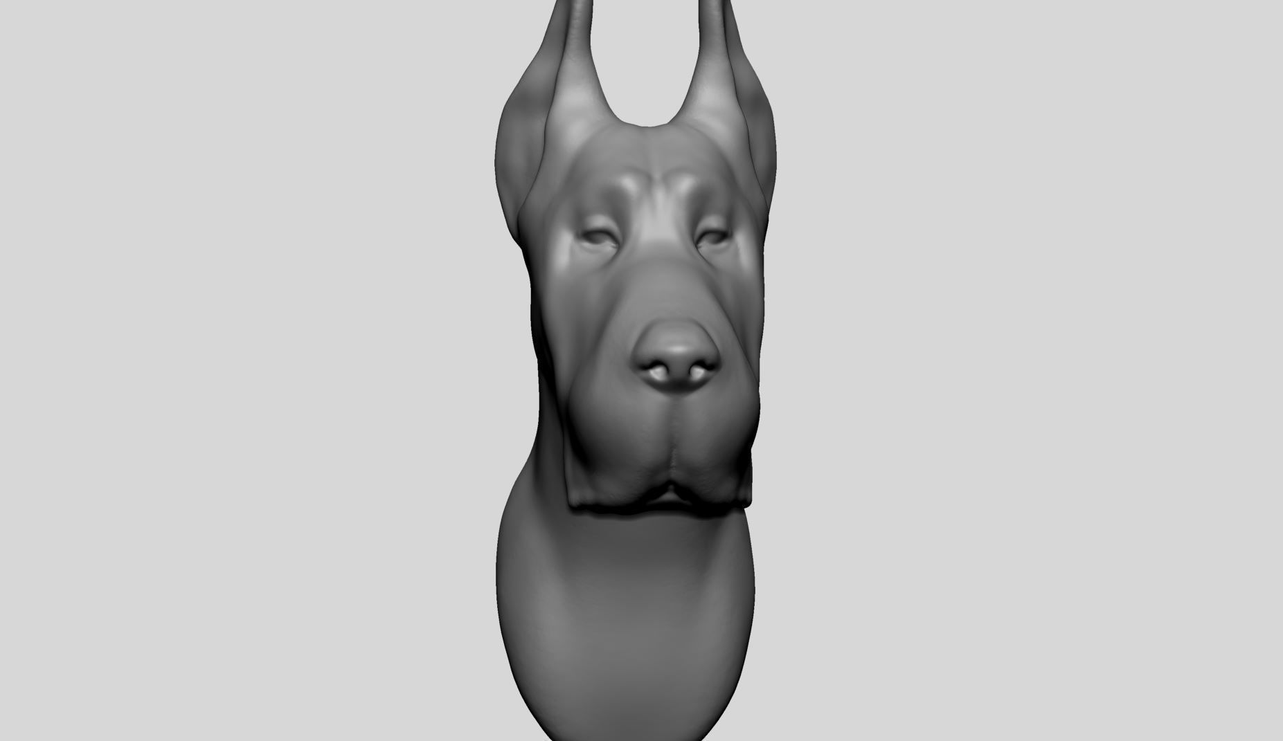 Dog Bust v2 3D model_7