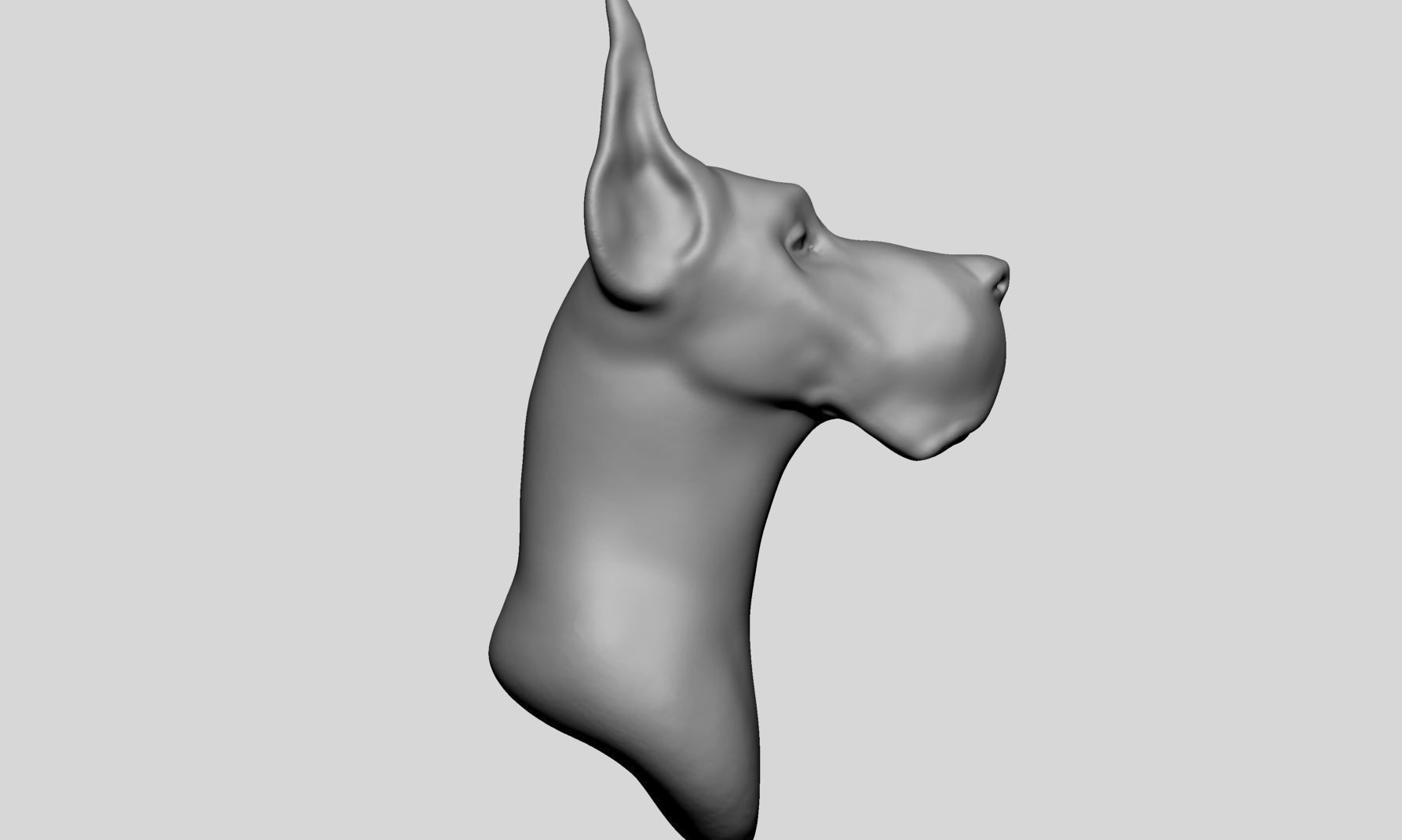 Dog Bust v2 3D model_2