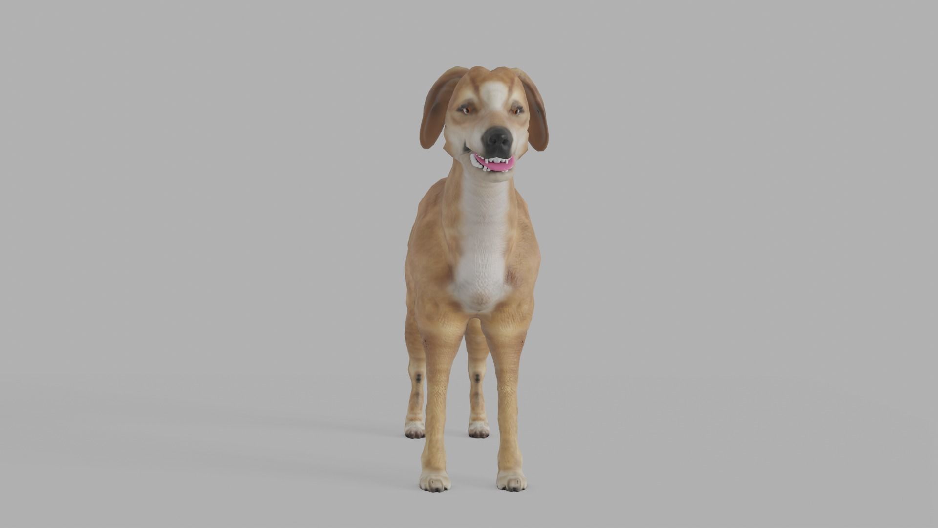 QATARI STREET DOG LOWPOLY Low-poly 3D model_17