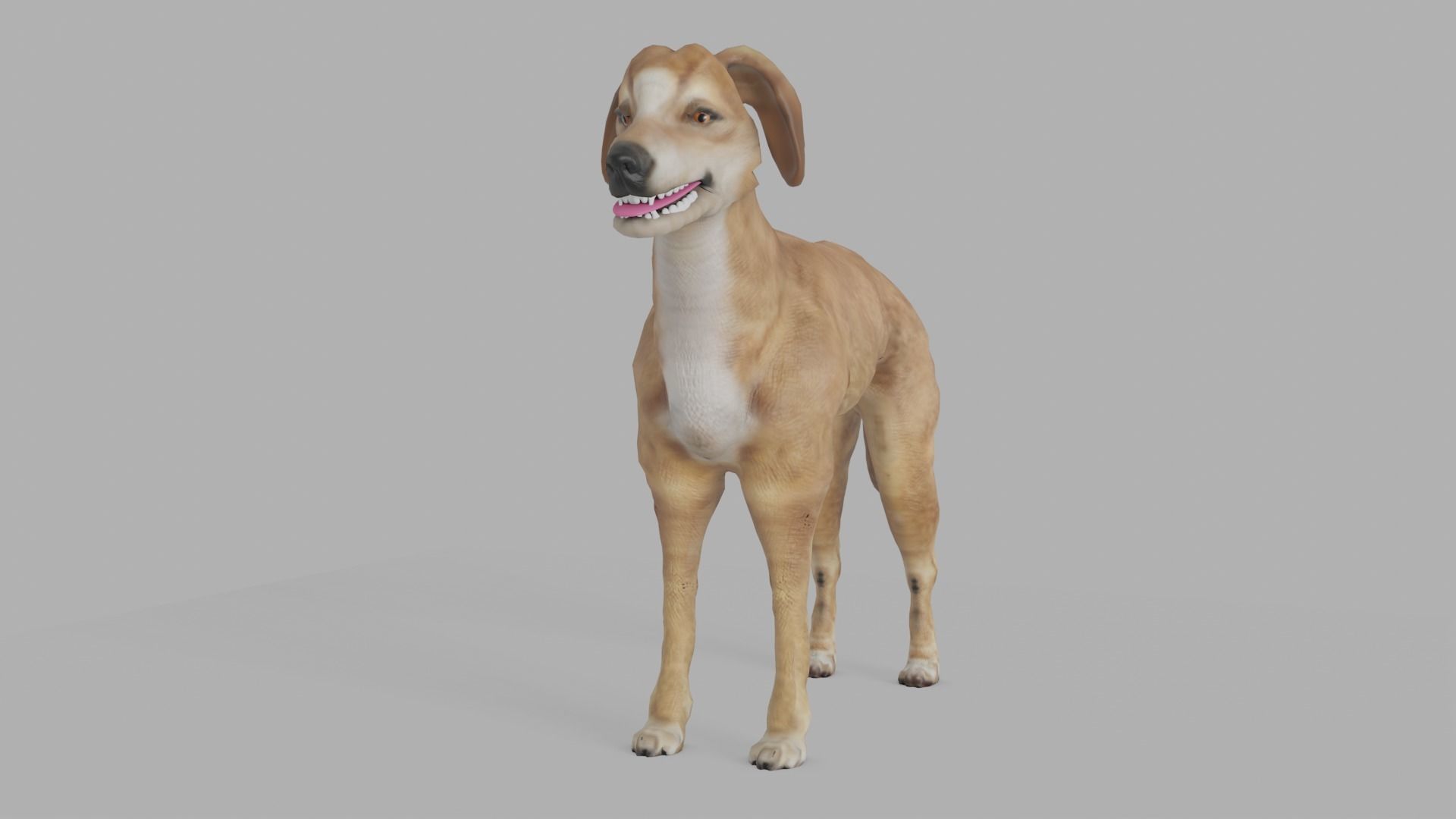 QATARI STREET DOG LOWPOLY Low-poly 3D model_15