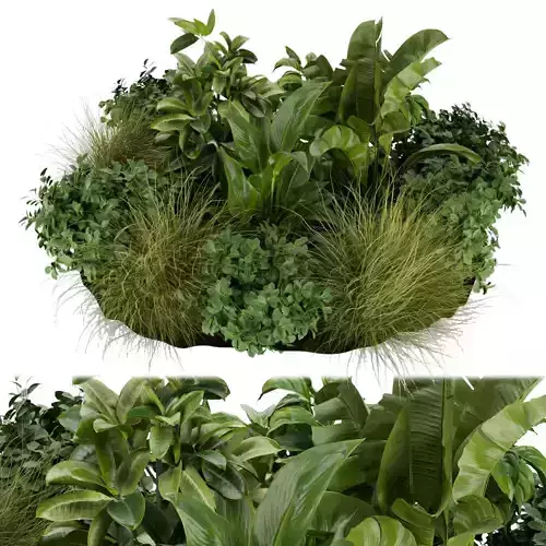 Collection plant vol 294 - indoor - garden - leaf 3D model