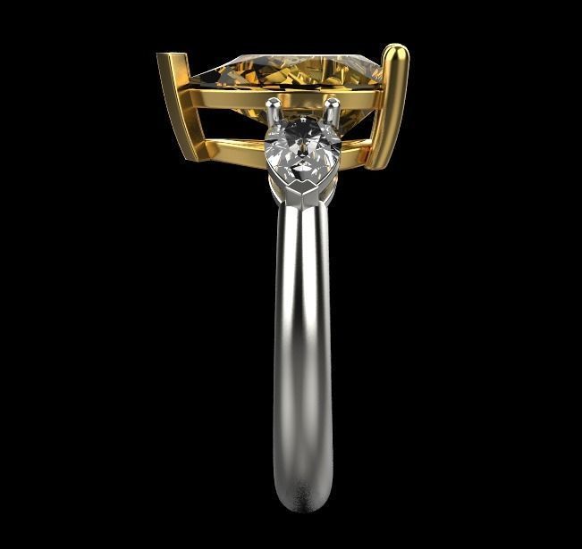 graff ring 3D print model_13