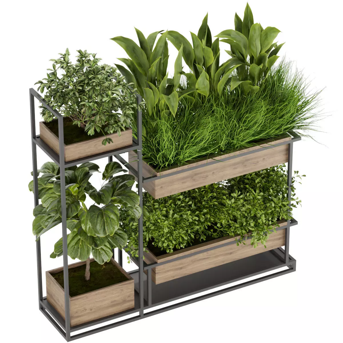 Collection plant vol 296 - indoor - leaf 3D model