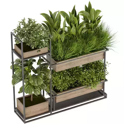 Collection plant vol 296 - indoor - leaf