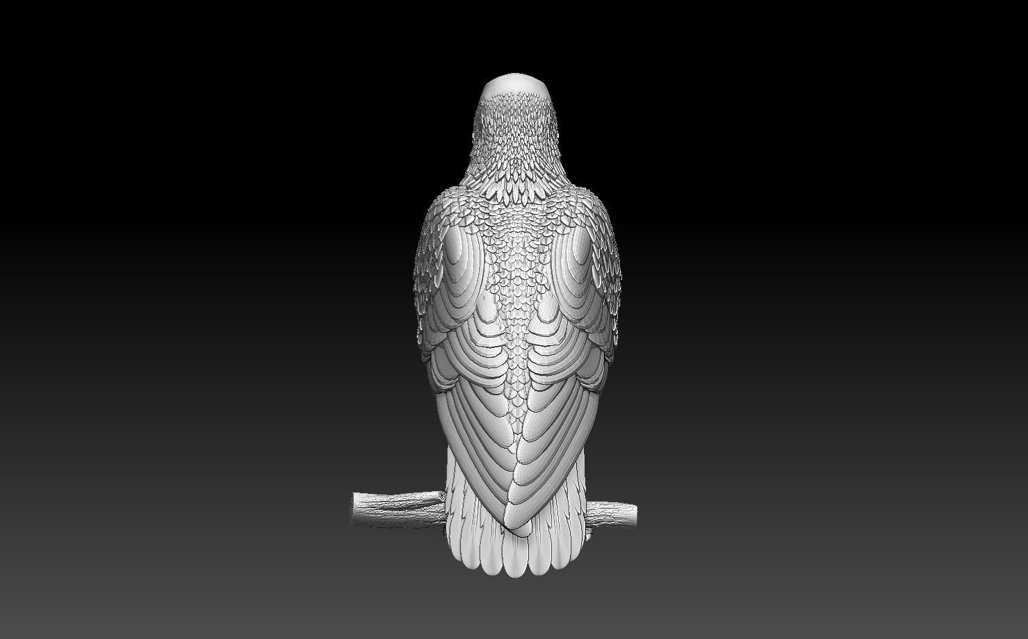 hawk bird 3D print model_10