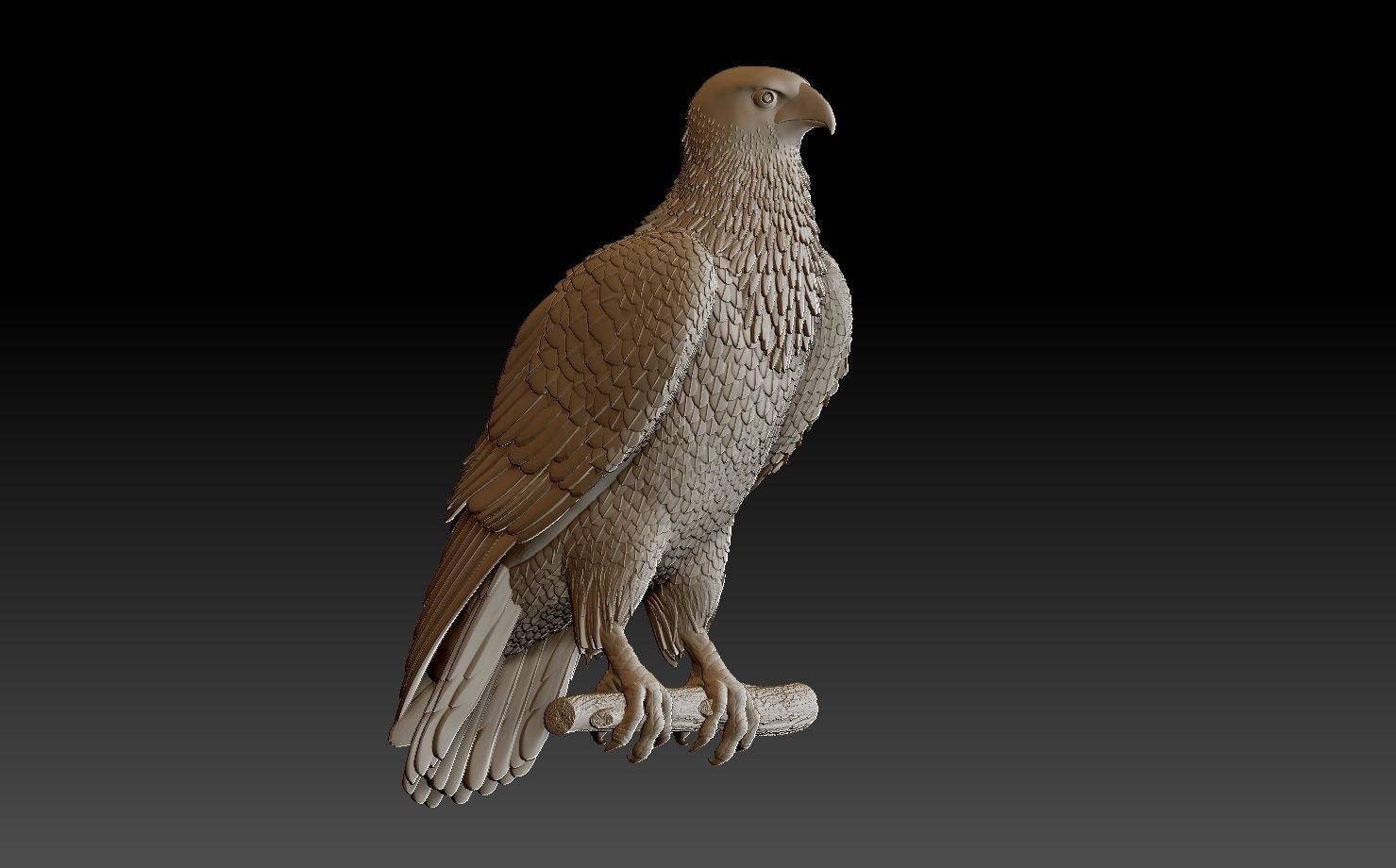 hawk bird 3D print model_11