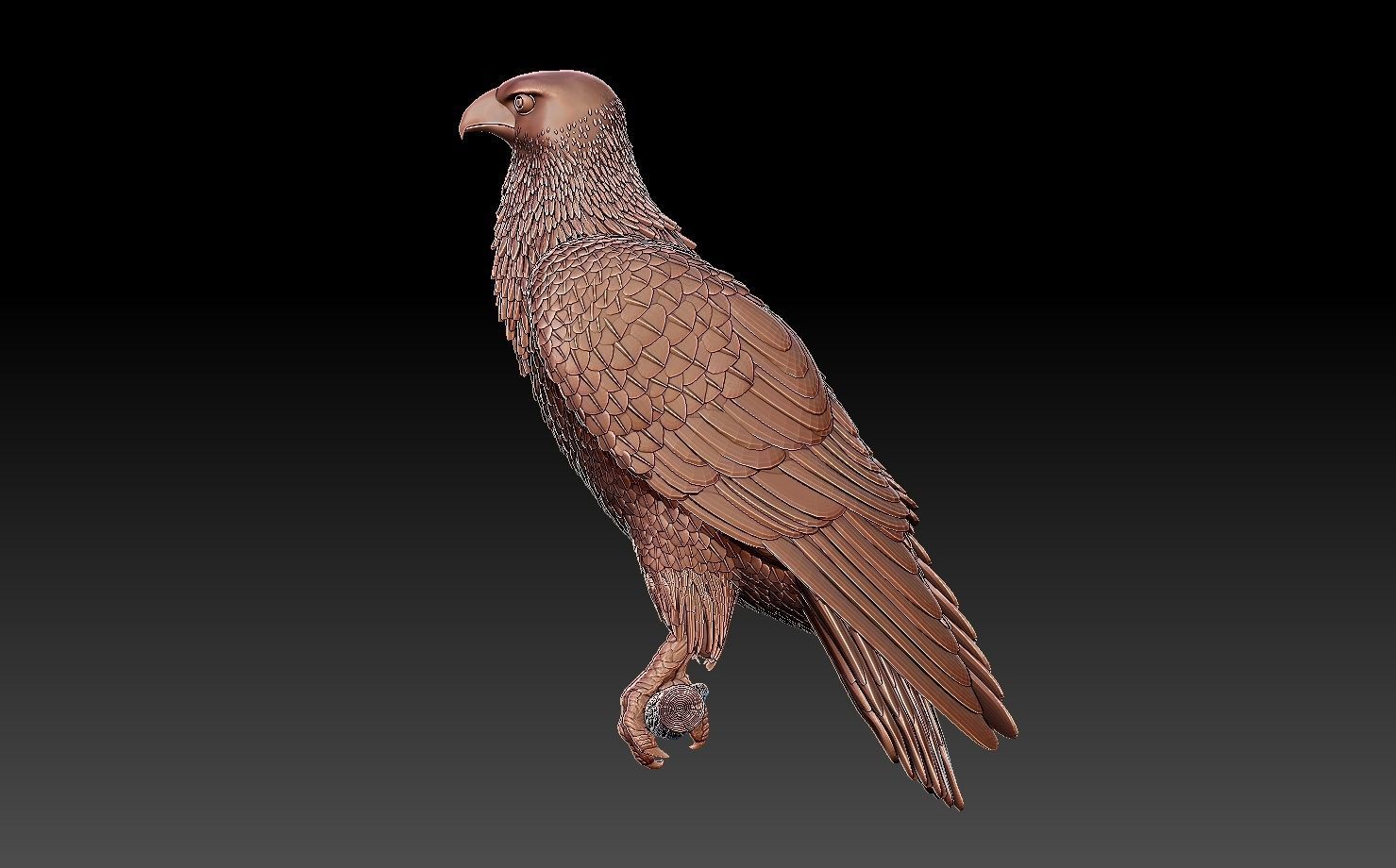 hawk bird 3D print model_1