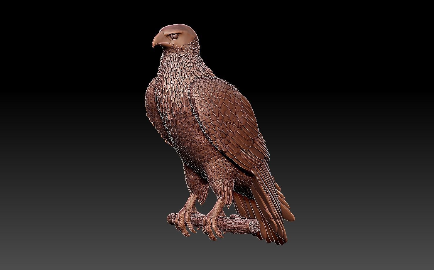 hawk bird 3D print model_6