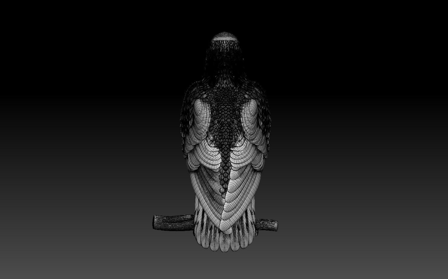 hawk bird 3D print model_9
