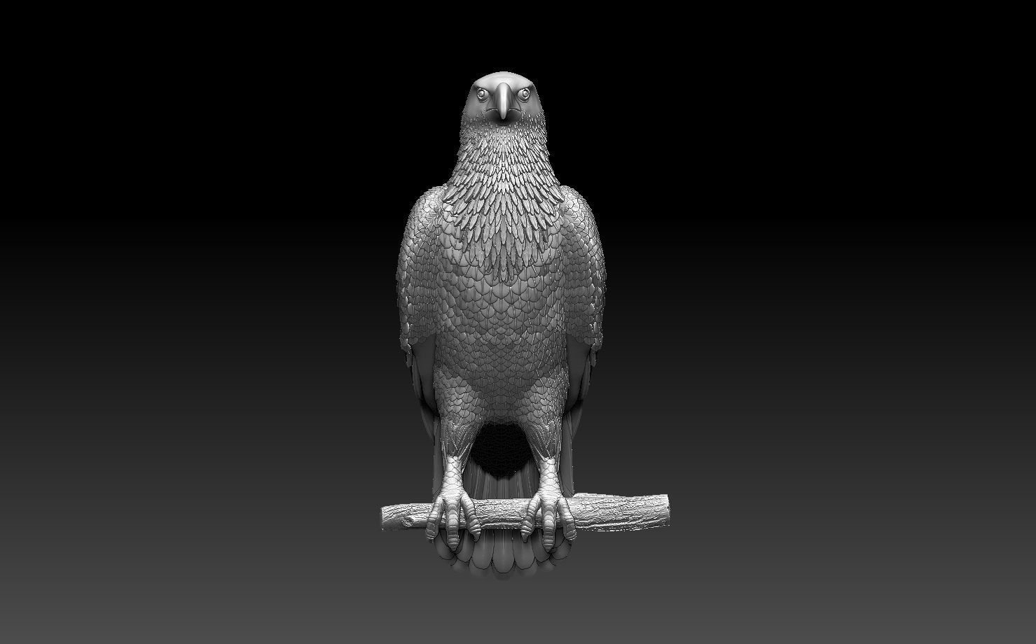 hawk bird 3D print model_3