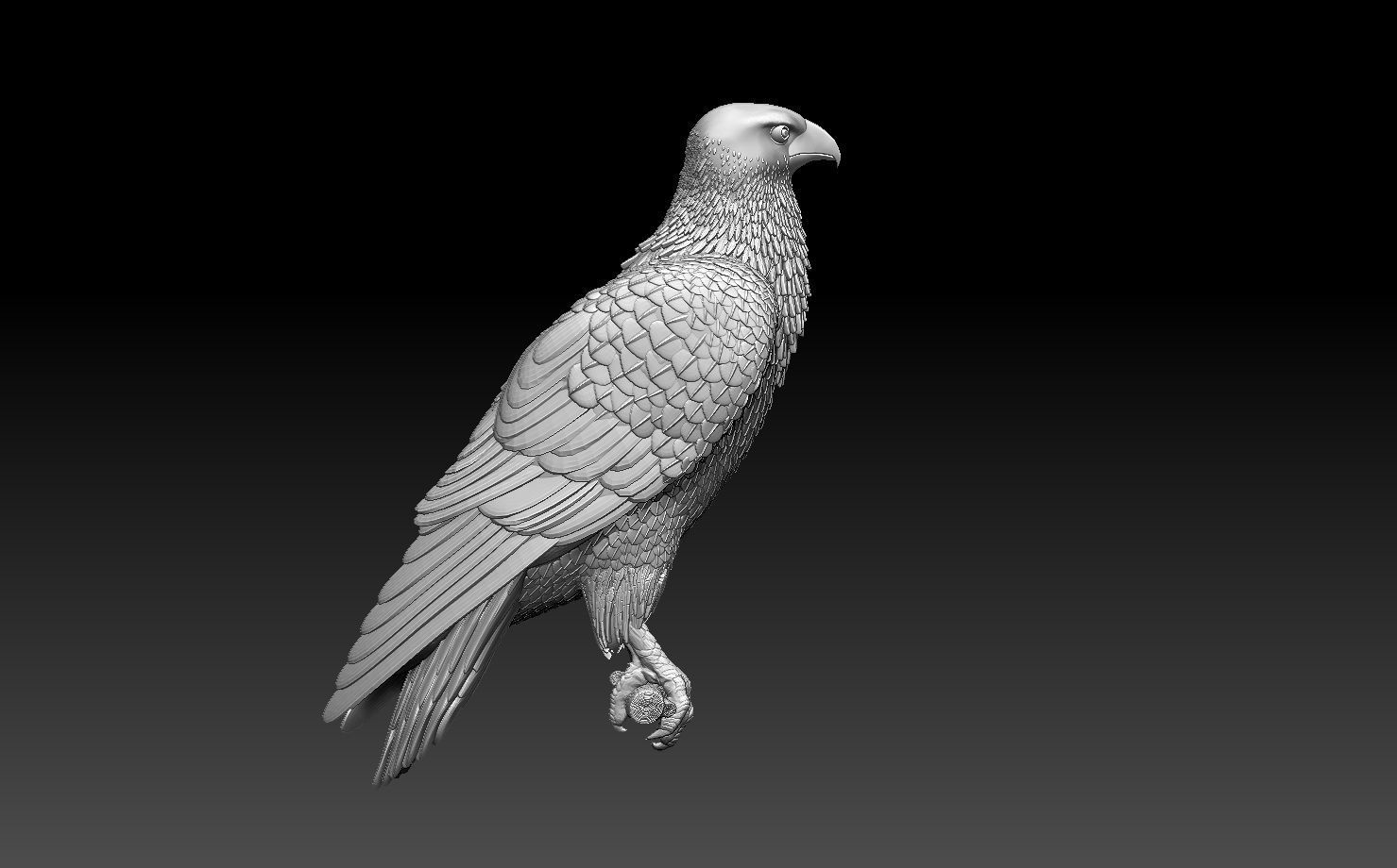 hawk bird 3D print model_4