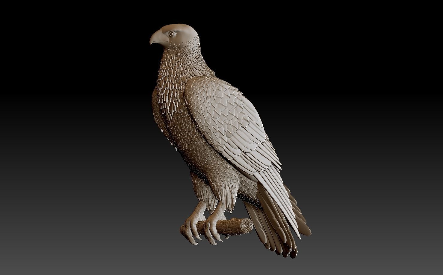 hawk bird 3D print model_8