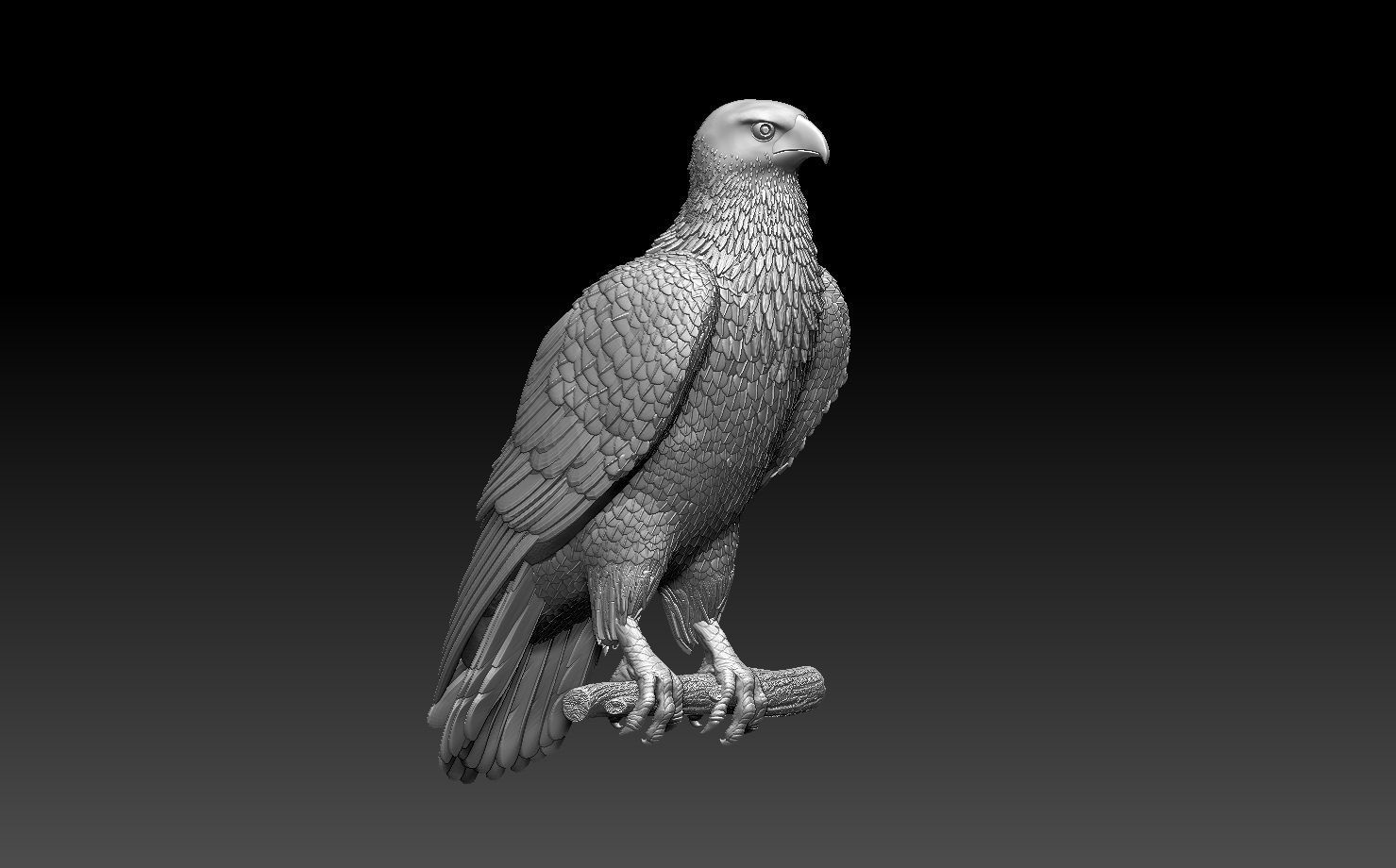 hawk bird 3D print model_2