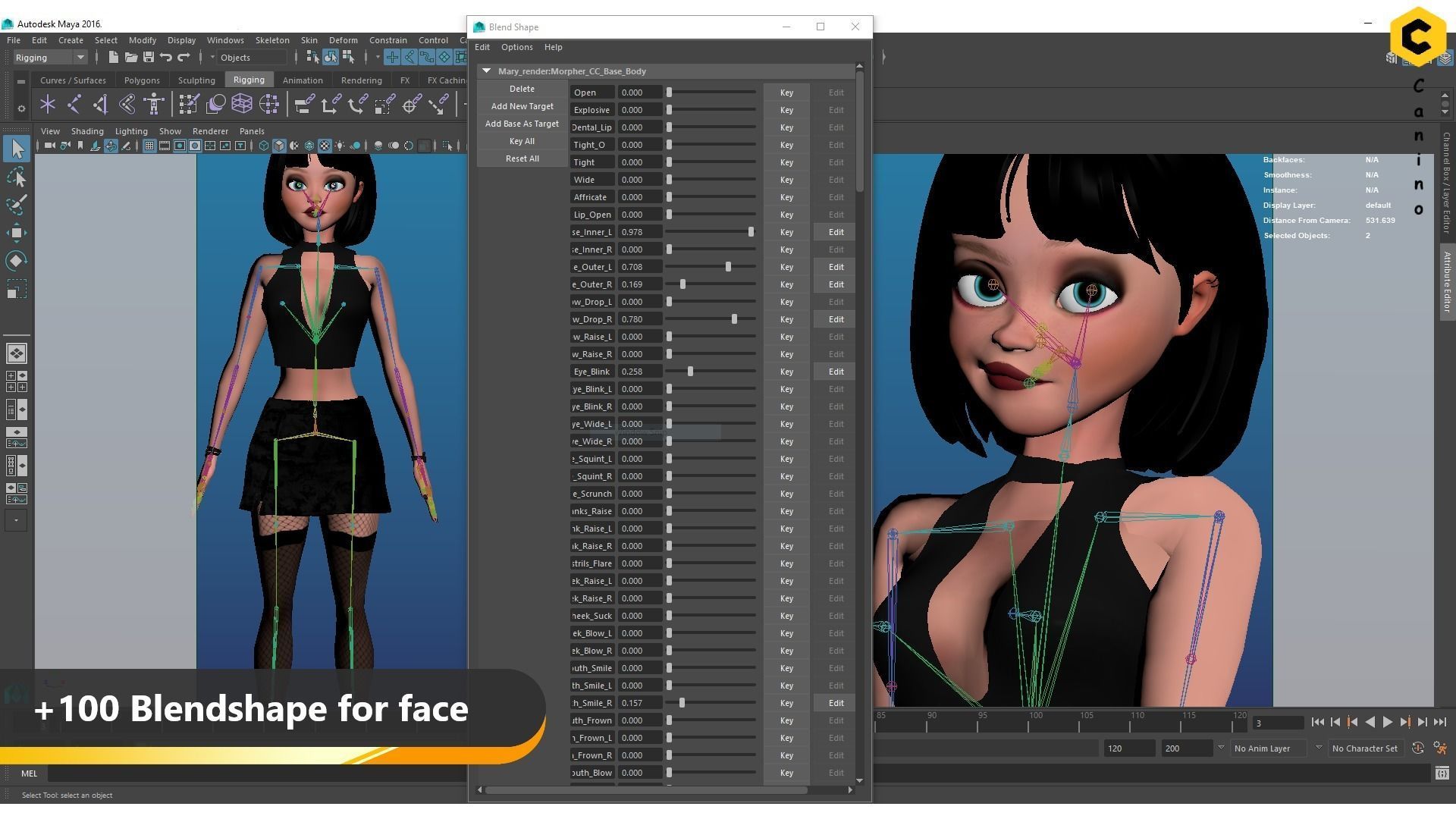 Cartoon girl character rigged selena 3D model_14
