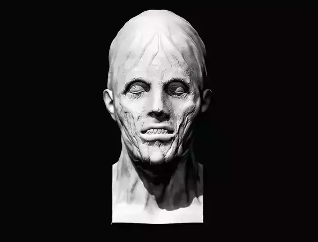 JASON MOM PAMELA VOORHEES custom head  3D print model