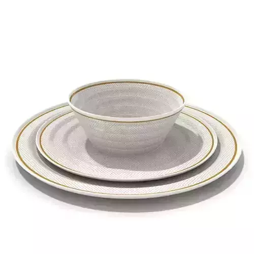Gold Lined Diner Set