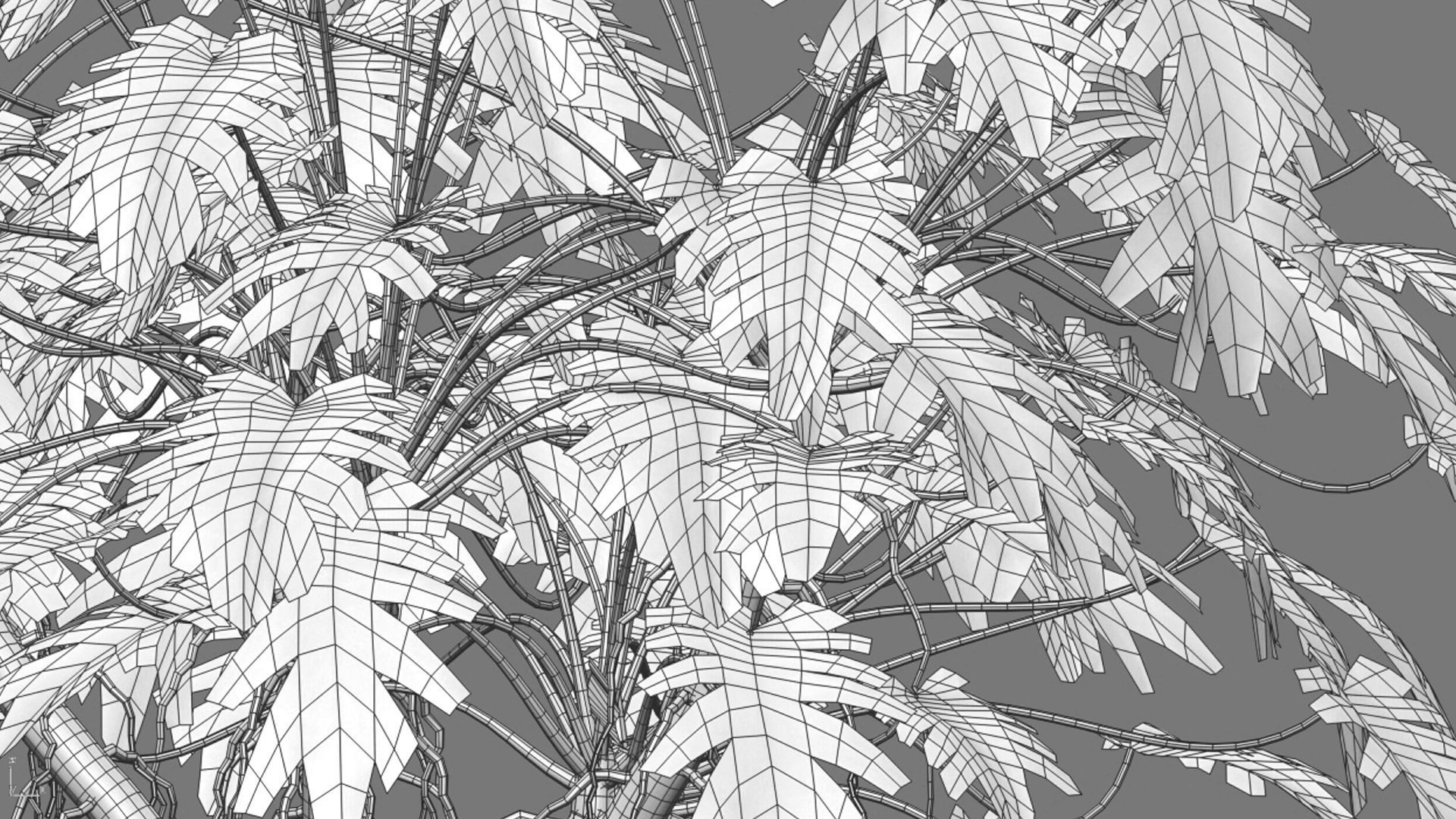 Philodendron xanadu 02 3D model_5