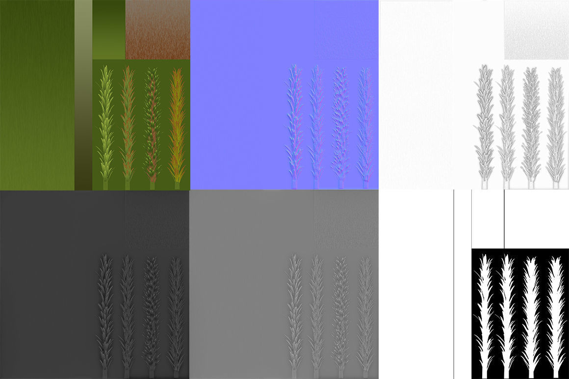 Sphagnum fallax BRANCH Low-poly 3D model_12